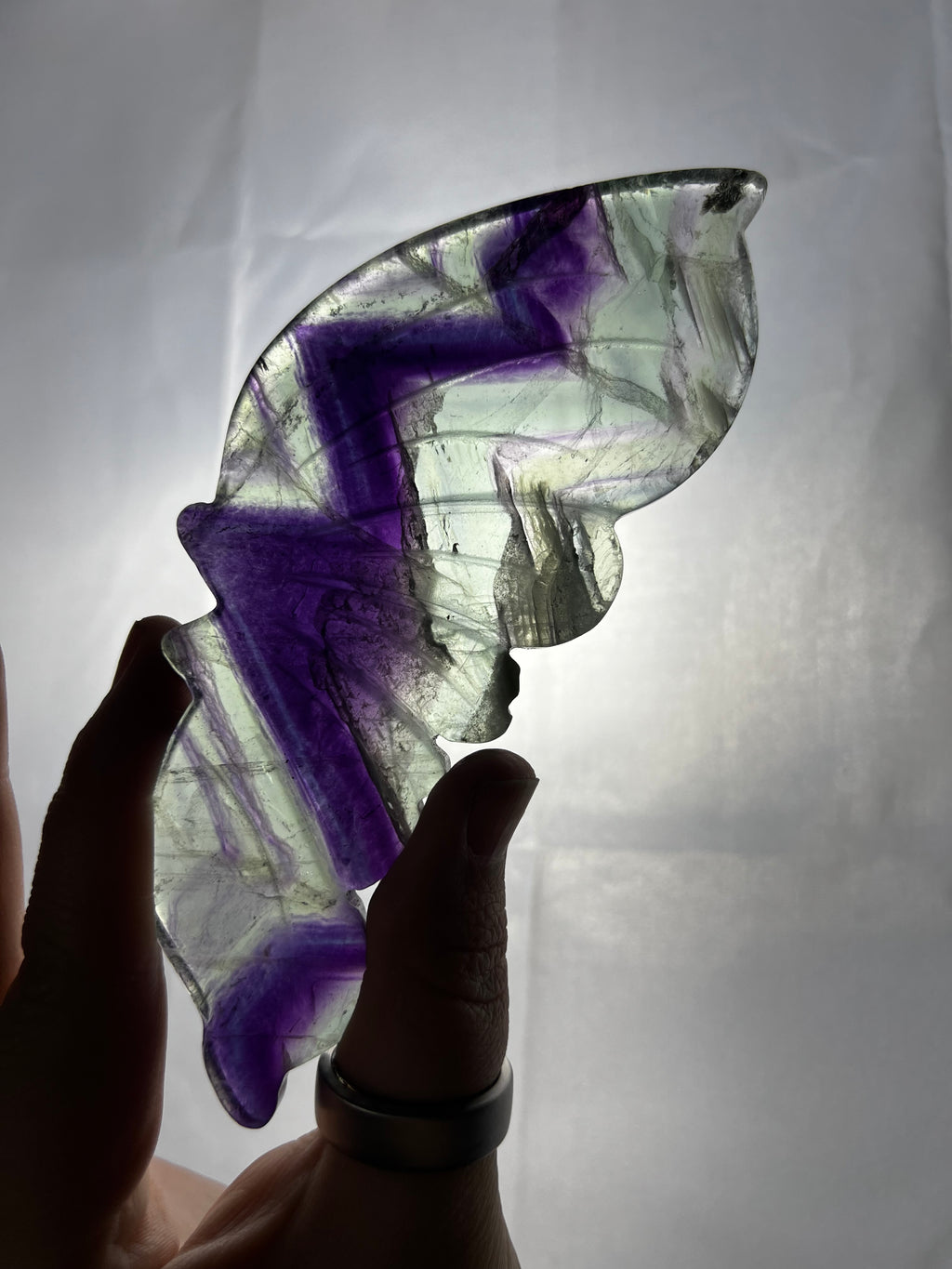Fluorite Butterfly Wings on Stand 🦋✨