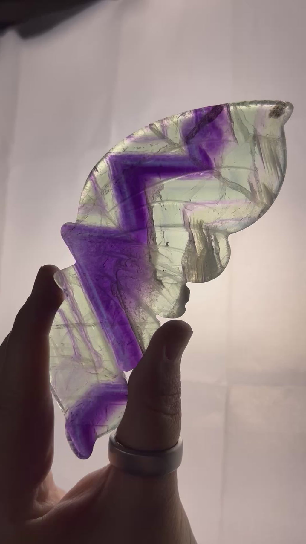 Fluorite Butterfly Wings on Stand 🦋✨